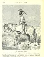 Picture 134 of 239 from The Human Race, ... illustrated by ... engravings on wood, and ... chromolithographs (1875), leaf 356