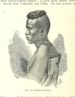 Picture 148 of 239 from The Human Race, ... illustrated by ... engravings on wood, and ... chromolithographs (1875), leaf 386
