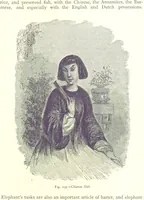 Picture 153 of 239 from The Human Race, ... illustrated by ... engravings on wood, and ... chromolithographs (1875), leaf 395