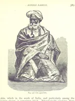 Picture 156 of 239 from The Human Race, ... illustrated by ... engravings on wood, and ... chromolithographs (1875), leaf 403