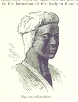 Picture 163 of 239 from The Human Race, ... illustrated by ... engravings on wood, and ... chromolithographs (1875), leaf 421