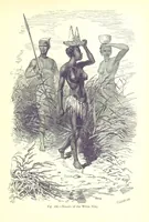 An illustration from The Human Race, ... illustrated by ... engravings on wood, and ... chromolithographs (1875)