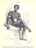 Picture 165 of 239 from The Human Race, ... illustrated by ... engravings on wood, and ... chromolithographs (1875), leaf 427