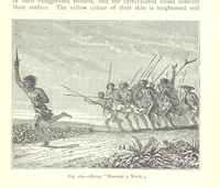 Picture 167 of 239 from The Human Race, ... illustrated by ... engravings on wood, and ... chromolithographs (1875), leaf 433