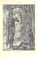 Picture 172 of 239 from The Human Race, ... illustrated by ... engravings on wood, and ... chromolithographs (1875), leaf 445