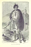 Picture 174 of 239 from The Human Race, ... illustrated by ... engravings on wood, and ... chromolithographs (1875), leaf 453
