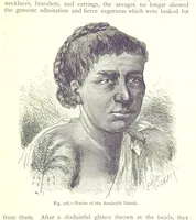 Picture 176 of 239 from The Human Race, ... illustrated by ... engravings on wood, and ... chromolithographs (1875), leaf 467