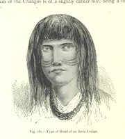Picture 179 of 239 from The Human Race, ... illustrated by ... engravings on wood, and ... chromolithographs (1875), leaf 480