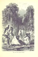 Picture 182 of 239 from The Human Race, ... illustrated by ... engravings on wood, and ... chromolithographs (1875), leaf 485