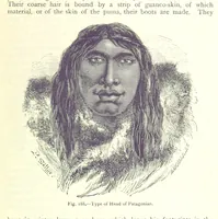 Picture 186 of 239 from The Human Race, ... illustrated by ... engravings on wood, and ... chromolithographs (1875), leaf 493