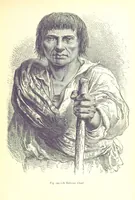 Picture 188 of 239 from The Human Race, ... illustrated by ... engravings on wood, and ... chromolithographs (1875), leaf 499