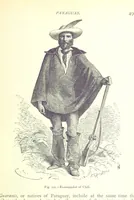 Picture 190 of 239 from The Human Race, ... illustrated by ... engravings on wood, and ... chromolithographs (1875), leaf 507