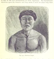 Picture 192 of 239 from The Human Race, ... illustrated by ... engravings on wood, and ... chromolithographs (1875), leaf 513