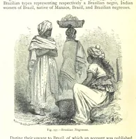 Picture 195 of 239 from The Human Race, ... illustrated by ... engravings on wood, and ... chromolithographs (1875), leaf 518