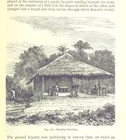 Picture 196 of 239 from The Human Race, ... illustrated by ... engravings on wood, and ... chromolithographs (1875), leaf 519