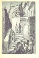 Picture 197 of 239 from The Human Race, ... illustrated by ... engravings on wood, and ... chromolithographs (1875), leaf 521