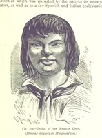 Picture 200 of 239 from The Human Race, ... illustrated by ... engravings on wood, and ... chromolithographs (1875), leaf 529