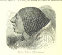 Picture 201 of 239 from The Human Race, ... illustrated by ... engravings on wood, and ... chromolithographs (1875), leaf 530
