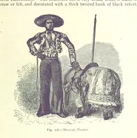Picture 204 of 239 from The Human Race, ... illustrated by ... engravings on wood, and ... chromolithographs (1875), leaf 533