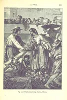Picture 205 of 239 from The Human Race, ... illustrated by ... engravings on wood, and ... chromolithographs (1875), leaf 535
