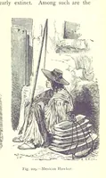 Picture 207 of 239 from The Human Race, ... illustrated by ... engravings on wood, and ... chromolithographs (1875), leaf 537