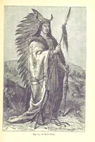Picture 211 of 239 from The Human Race, ... illustrated by ... engravings on wood, and ... chromolithographs (1875), leaf 545