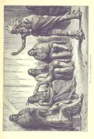 An illustration from The Human Race, ... illustrated by ... engravings on wood, and ... chromolithographs (1875)