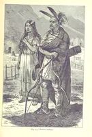 Picture 213 of 239 from The Human Race, ... illustrated by ... engravings on wood, and ... chromolithographs (1875), leaf 553