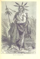 An illustration from The Human Race, ... illustrated by ... engravings on wood, and ... chromolithographs (1875)