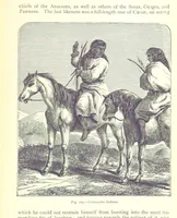 Picture 217 of 239 from The Human Race, ... illustrated by ... engravings on wood, and ... chromolithographs (1875), leaf 565