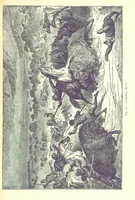 Picture 219 of 239 from The Human Race, ... illustrated by ... engravings on wood, and ... chromolithographs (1875), leaf 567