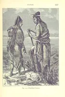 Picture 221 of 239 from The Human Race, ... illustrated by ... engravings on wood, and ... chromolithographs (1875), leaf 571