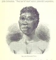 Picture 226 of 239 from The Human Race, ... illustrated by ... engravings on wood, and ... chromolithographs (1875), leaf 583