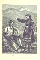 Picture 7 of 239 from The Human Race, ... illustrated by ... engravings on wood, and ... chromolithographs (1875), leaf 59