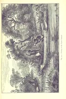 Picture 228 of 239 from The Human Race, ... illustrated by ... engravings on wood, and ... chromolithographs (1875), leaf 593
