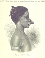 Picture 229 of 239 from The Human Race, ... illustrated by ... engravings on wood, and ... chromolithographs (1875), leaf 599