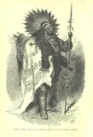 Picture 1 of 239 from The Human Race, ... illustrated by ... engravings on wood, and ... chromolithographs (1875), leaf 6