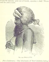 Picture 232 of 239 from The Human Race, ... illustrated by ... engravings on wood, and ... chromolithographs (1875), leaf 609