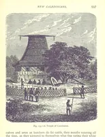Picture 233 of 239 from The Human Race, ... illustrated by ... engravings on wood, and ... chromolithographs (1875), leaf 611