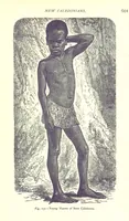 Picture 235 of 239 from The Human Race, ... illustrated by ... engravings on wood, and ... chromolithographs (1875), leaf 615
