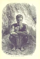 Picture 236 of 239 from The Human Race, ... illustrated by ... engravings on wood, and ... chromolithographs (1875), leaf 617