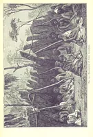 Picture 237 of 239 from The Human Race, ... illustrated by ... engravings on wood, and ... chromolithographs (1875), leaf 621
