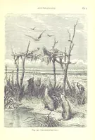 Picture 239 of 239 from The Human Race, ... illustrated by ... engravings on wood, and ... chromolithographs (1875), leaf 625