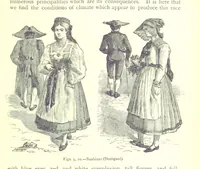 Picture 9 of 239 from The Human Race, ... illustrated by ... engravings on wood, and ... chromolithographs (1875), leaf 63