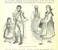 Picture 10 of 239 from The Human Race, ... illustrated by ... engravings on wood, and ... chromolithographs (1875), leaf 64