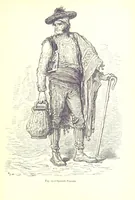 Picture 17 of 239 from The Human Race, ... illustrated by ... engravings on wood, and ... chromolithographs (1875), leaf 87