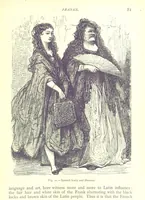 Picture 19 of 239 from The Human Race, ... illustrated by ... engravings on wood, and ... chromolithographs (1875), leaf 95