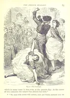 Picture 20 of 239 from The Human Race, ... illustrated by ... engravings on wood, and ... chromolithographs (1875), leaf 99