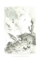 An illustration from La Terre et les Mers, ou description physique du globe. Ouvrage contenant 170 vignettes dessignées par K. Girardet, Lebreton, ... et 20 cartes physiques (1864)