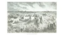 An illustration from La Terre et les Mers, ou description physique du globe. Ouvrage contenant 170 vignettes dessignées par K. Girardet, Lebreton, ... et 20 cartes physiques (1864)